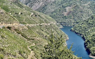 Ribeira Sacra Denominación de Origen (DO): the “heroic viniculture”